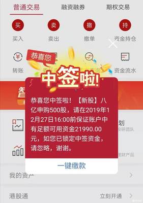 新股中簽的抉擇 該不該拋掉北京企業(yè)網站？